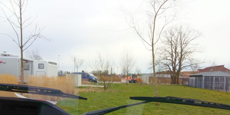 Aurich