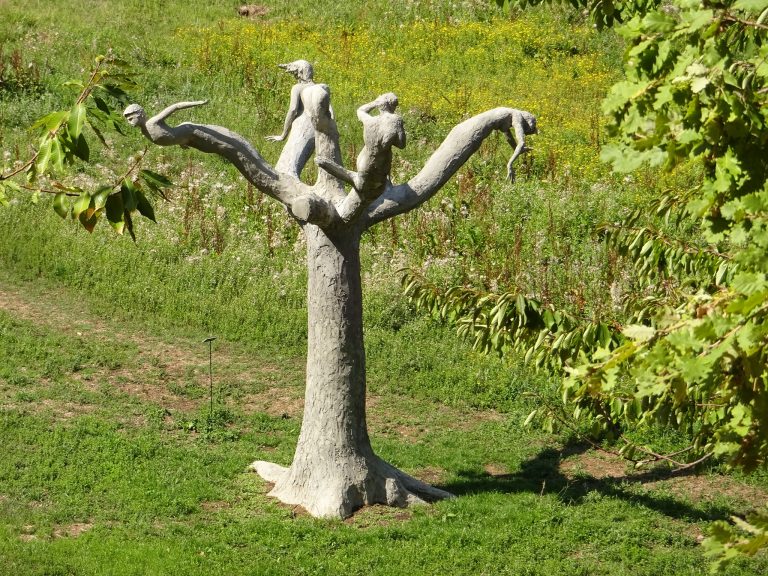 Seggiano und Scansano