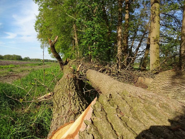 Elbe-Weser 1. und 2. Tag – Ottendorf