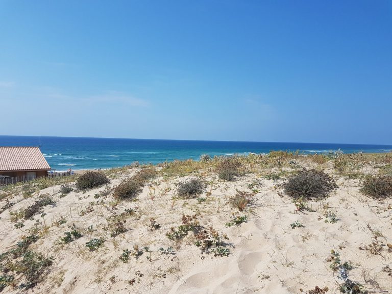 Frankreich 2019 9. Tag – an den Atlantik