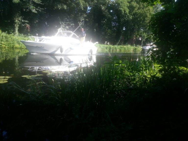 Find’s hier