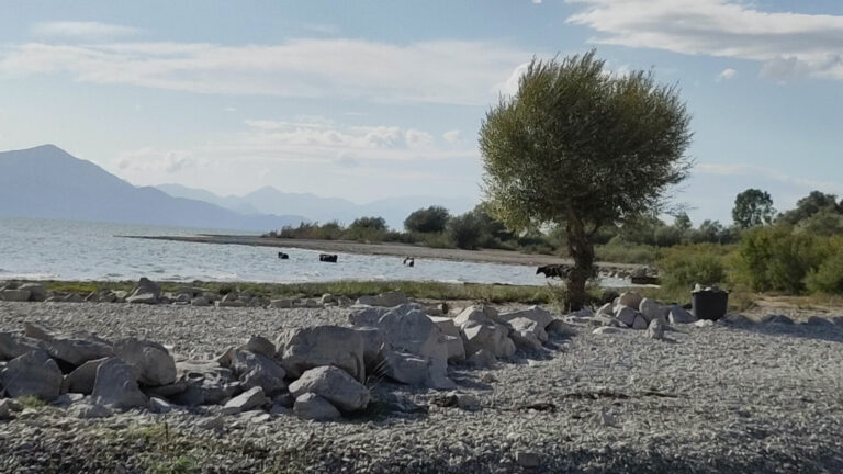 Shkodër